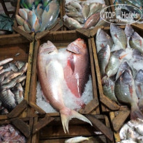 фото из отзыва ID 1482738