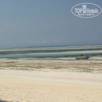 фото из отзыва ID 1482776