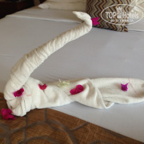 фото из отзыва ID 1482776