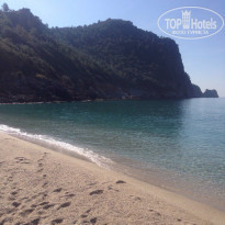 фото из отзыва ID 1482791