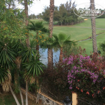 фото из отзыва ID 1482868