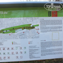 фото из отзыва ID 1482872