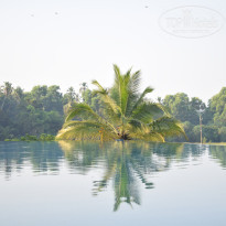 фото из отзыва ID 1482900