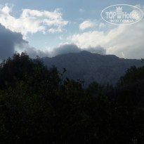 фото из отзыва ID 1482963