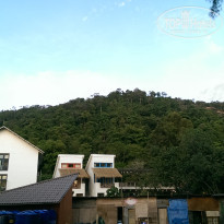 фото из отзыва ID 1483204