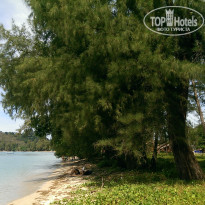 фото из отзыва ID 1483204