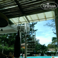 фото из отзыва ID 1483204