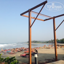 фото из отзыва ID 1483353