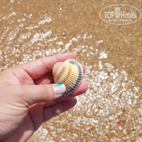 фото из отзыва ID 1483393