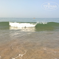 фото из отзыва ID 1483414