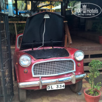 фото из отзыва ID 1483414