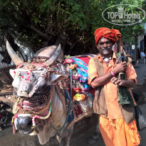 фото из отзыва ID 1483414