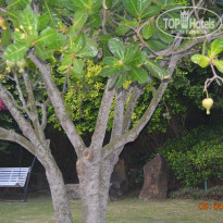 фото из отзыва ID 1483446