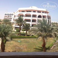 фото из отзыва ID 1483624