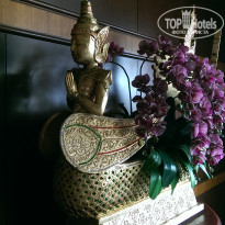 фото из отзыва ID 1483634