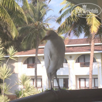 фото из отзыва ID 1483679