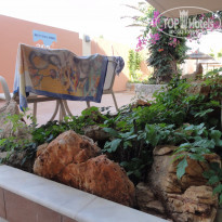 фото из отзыва ID 1483593