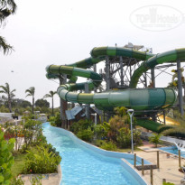 фото из отзыва ID 1483816