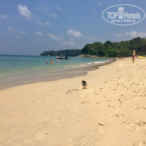 фото из отзыва ID 1483925