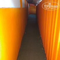 фото из отзыва ID 1483930