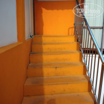 фото из отзыва ID 1483930