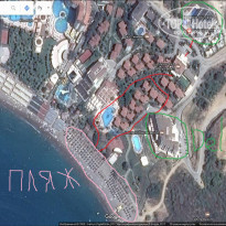 фото из отзыва ID 1484144