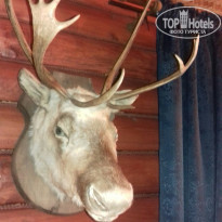 фото из отзыва ID 1484169