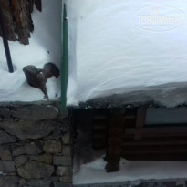 фото из отзыва ID 1484169