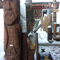 фото из отзыва ID 1484169