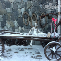 фото из отзыва ID 1484169