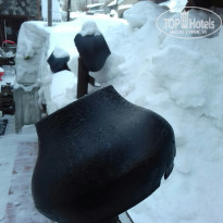 фото из отзыва ID 1484169