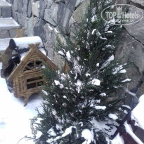 фото из отзыва ID 1484169