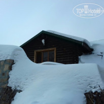 фото из отзыва ID 1484169