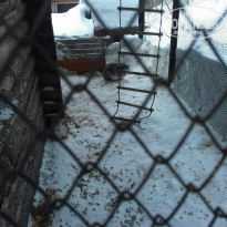 фото из отзыва ID 1484169