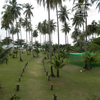 фото из отзыва ID 1484195