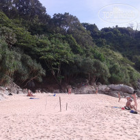 фото из отзыва ID 1484281