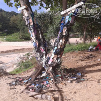 фото из отзыва ID 1484281