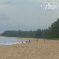 фото из отзыва ID 1484281