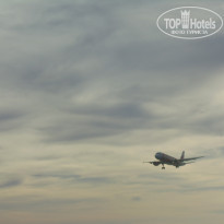 фото из отзыва ID 1484281