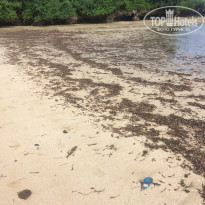 фото из отзыва ID 1484296