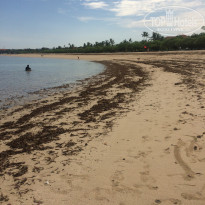 фото из отзыва ID 1484296