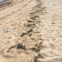 фото из отзыва ID 1484296