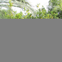 фото из отзыва ID 1484439