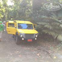 фото из отзыва ID 1483962