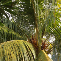 фото из отзыва ID 1484582