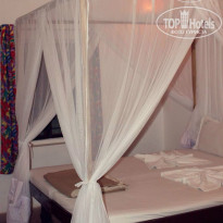 фото из отзыва ID 1484293