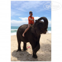 фото из отзыва ID 1484763