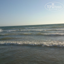 фото из отзыва ID 1484862