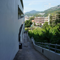 фото из отзыва ID 1484524