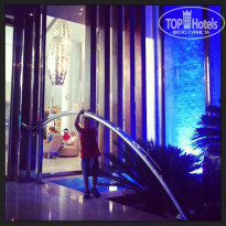 фото из отзыва ID 1484888